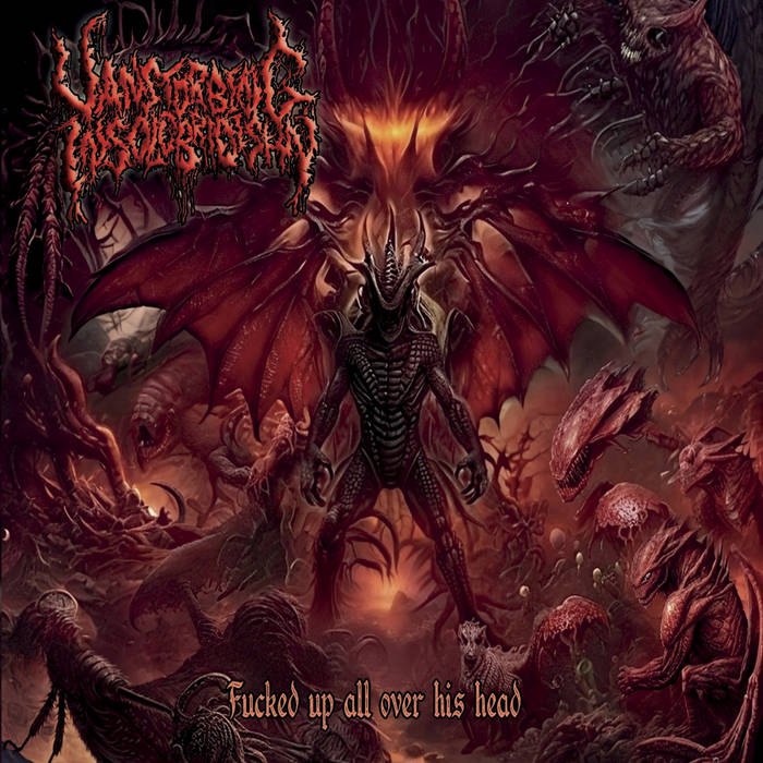 Vanstorbing Insolobridishn- F*cked Up All Over His Head CD on More H*te Prod.