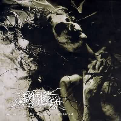 Circle Of Dead Children- Human Harvest CD on Base Records