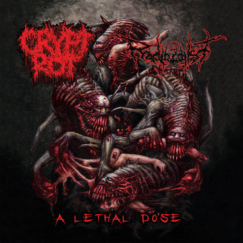 Crypt Rot / Radiologist- A Lethal Dose Split CD on Rotten Music