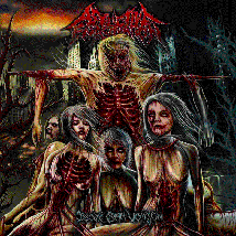 AFFLICTIVE EMASCULATION- Obscure Slam Vomition CD on Sevared Rec