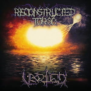 Reconstructed Torso- Varied CD on P.E.R.
