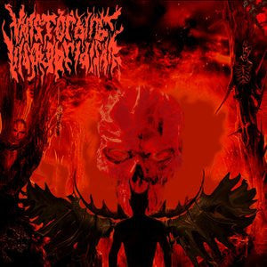 VANSTORBING INSOLOBRIDISHN- S/T CD on Sevared Rec.