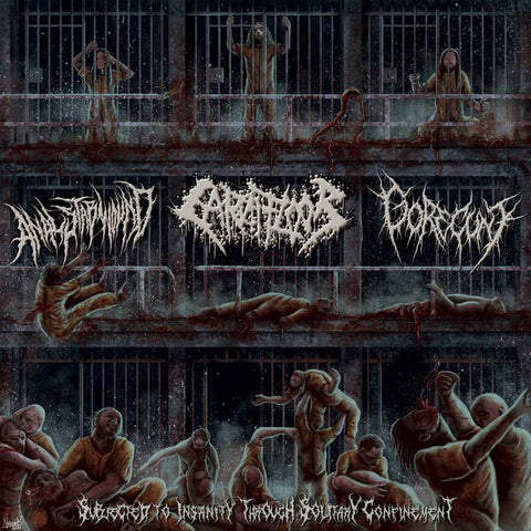 An*l Stabwound / Carnifloor / Gorec*nt- Split CD on P.E.R.