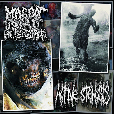 Maggot Vomit Afterbirth / Active Stenosis- Split CD on Lymphatic Sexual Orgy Rec.