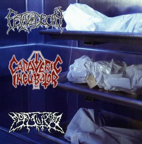 Fetal Decay / Cadaveric Incubator / Mortalized- Split CD on SFC Rec.