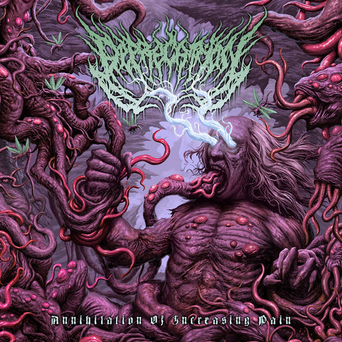 Deprecation- Annihilation Of Increasing Pain CD on Inherited Suffering Rec.