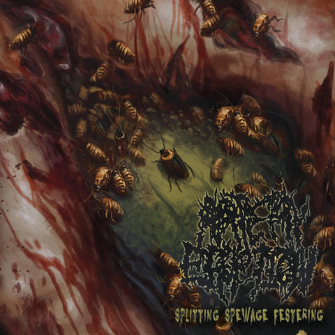 ARTERY ERUPTION- Splitting Spewage Festering CD on Coyote Rec.