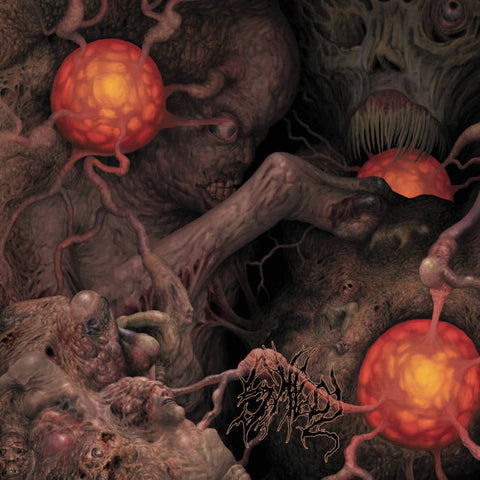 Insalubrity / Excrescence / An*l Stabwound / Theurgy- Split CD on New Standard Elite