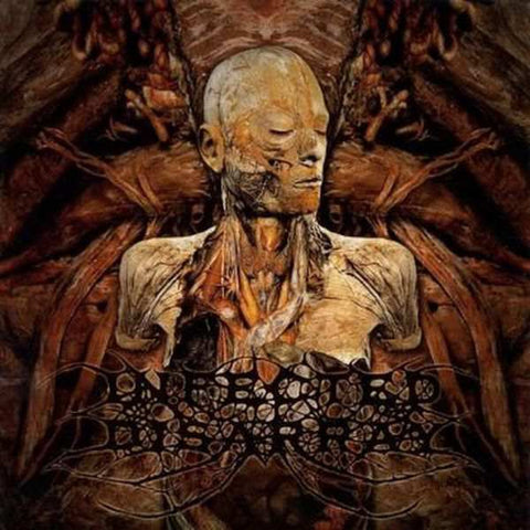 Infected Disarray- Redisseminating Obscenity CD on P.E.R. / Bizarre Leprous Prod.