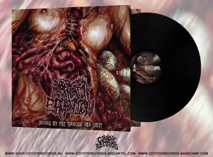 ARTERY ERUPTION- Driving My Fist Through Her Chest 12" GATEFOLD LP VINYL on Coyote Rec.