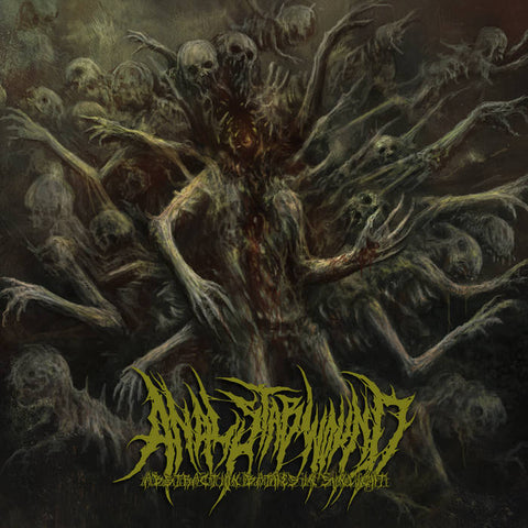 An*l Stabwound- Abstraction Bathes in Sunlight CD on New Standard Elite
