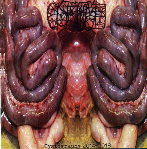 Cystgurgle- Cystography 2014-2018 CD on Lymphatic Sexual Orgy Rec.