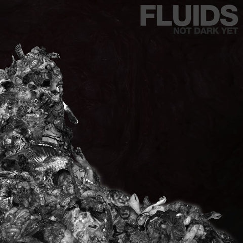 Fluids- Not Dark Yet CD on Hells Headbangers