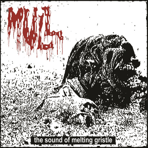 Mull- The Sound Of Melting Gristle CD on Rotten Roll Rex