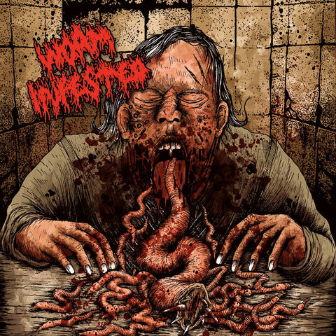 WORM INFESTED- S/T CD on Obscurity Rec.