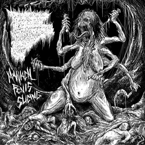 Insidious Squelching Penetration- Manical Penis Slicing CD on Troll Trax Studios