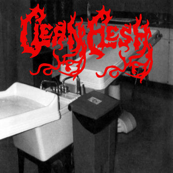 Clean Flesh- S/T CD on Burning Dogma Rec.