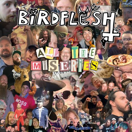 Birdflesh- All The Miseries CD on Everlasting Spew Rec.