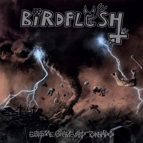 Birdflesh- Extreme Graveyard Tornado CD on Everlasting Spew Rec.