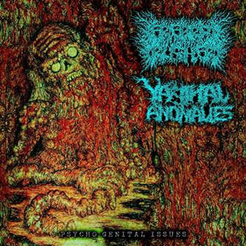 Cerebral Crusher / Vaginal Anomalies- Split CD on Satanic Porno Rec.