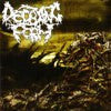 Decaying Form- Chronicles Of Decimation CD Dan's Crypt Records