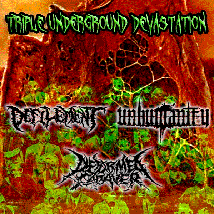 DEFILEMENT / UNHUMANITY / DEFORMED CADAVER- Split CD