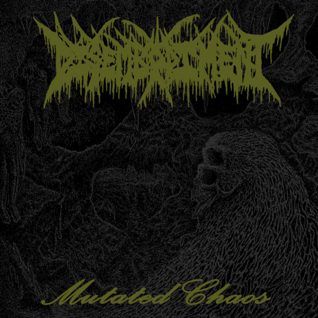 Disembodiment- Mutated Chaos CD on Everlasting Spew Rec.