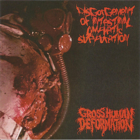 Disgorgement Of Intestinal Lymphatic Suppuration / Gross Human Deformation- Split CD on Bidule Mandibule Prod.