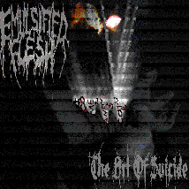 EMULSIFIED FLESH- The Art Of Suicide CD