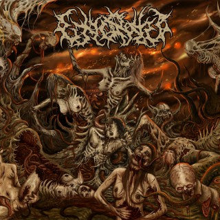 Execrated- Condemnation To Eternal Punishment MCD on Anopsys Rec