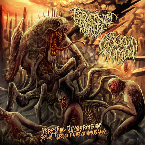 Fatuous Rump / Perversity Denied- Split CD on P.E.R.