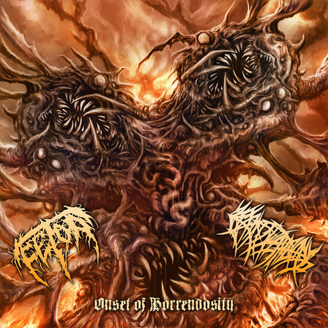 Fetor / Crepitation- Onset Of Horrendosity Split CD on Deformeathing Prod.