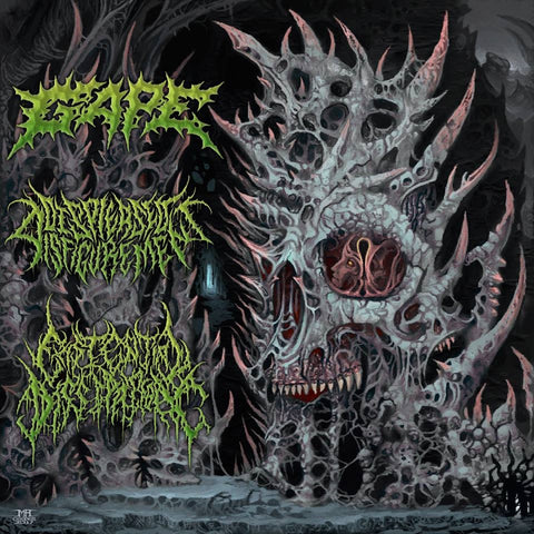 Gape / Displeased Disfigurement / Existential Dissipation- Split CD on CDN Rec.