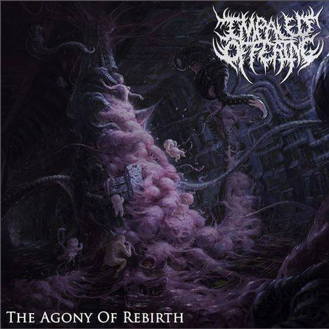IMPALED OFFERING- The Agony Of Rebirth CD on Sevared Records