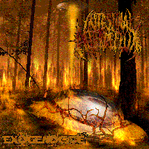 INTESTINAL ALIEN REFLUX- Exogenocide CD on Sevared Rec.