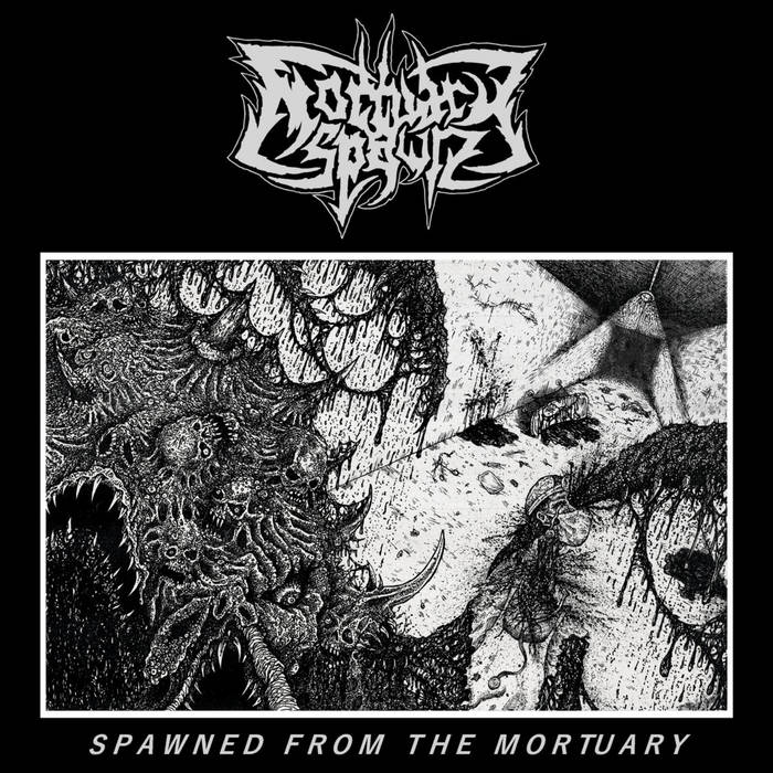 Mortuary Spawn- Spawned From The Mortuary CASSETTE on Sewer Rot Rec.