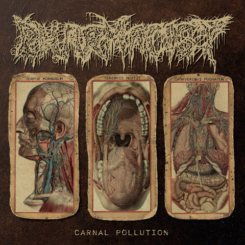 PHARMACIST- Carnal Pollution CD on Sevared Rec. OUT NOW!!!!