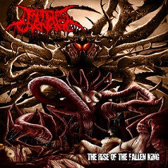 Pit Of Carnage- The Rise Of The Fallen King CD on CDN Rec.