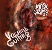 Rigor Mortis- Vaginal Gutting CD on Not Like Most Records