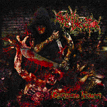 SKULL COLLECTOR- Disfigured Insanity CD